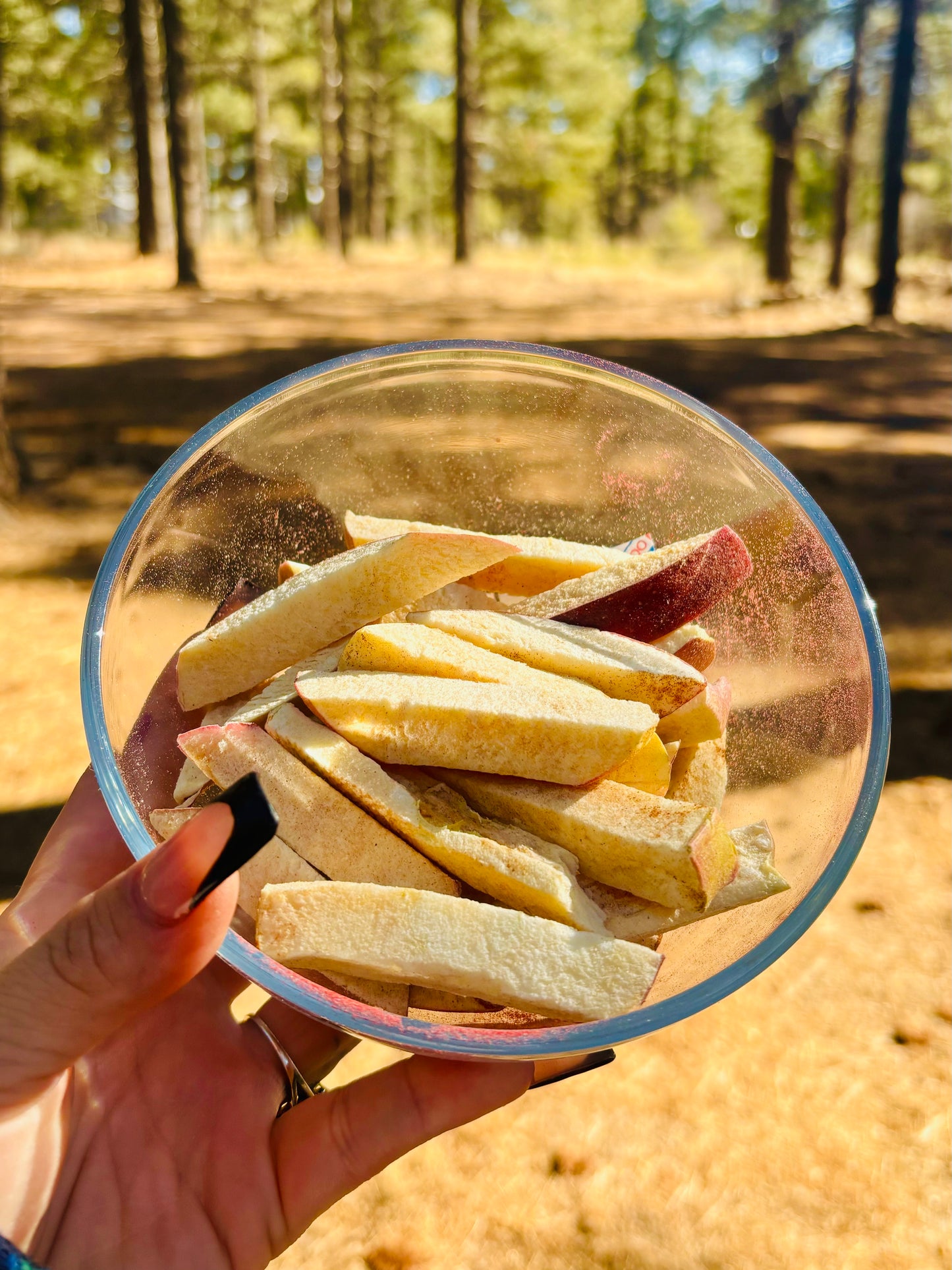 Freeze Dried Cinnamon Apple Fries