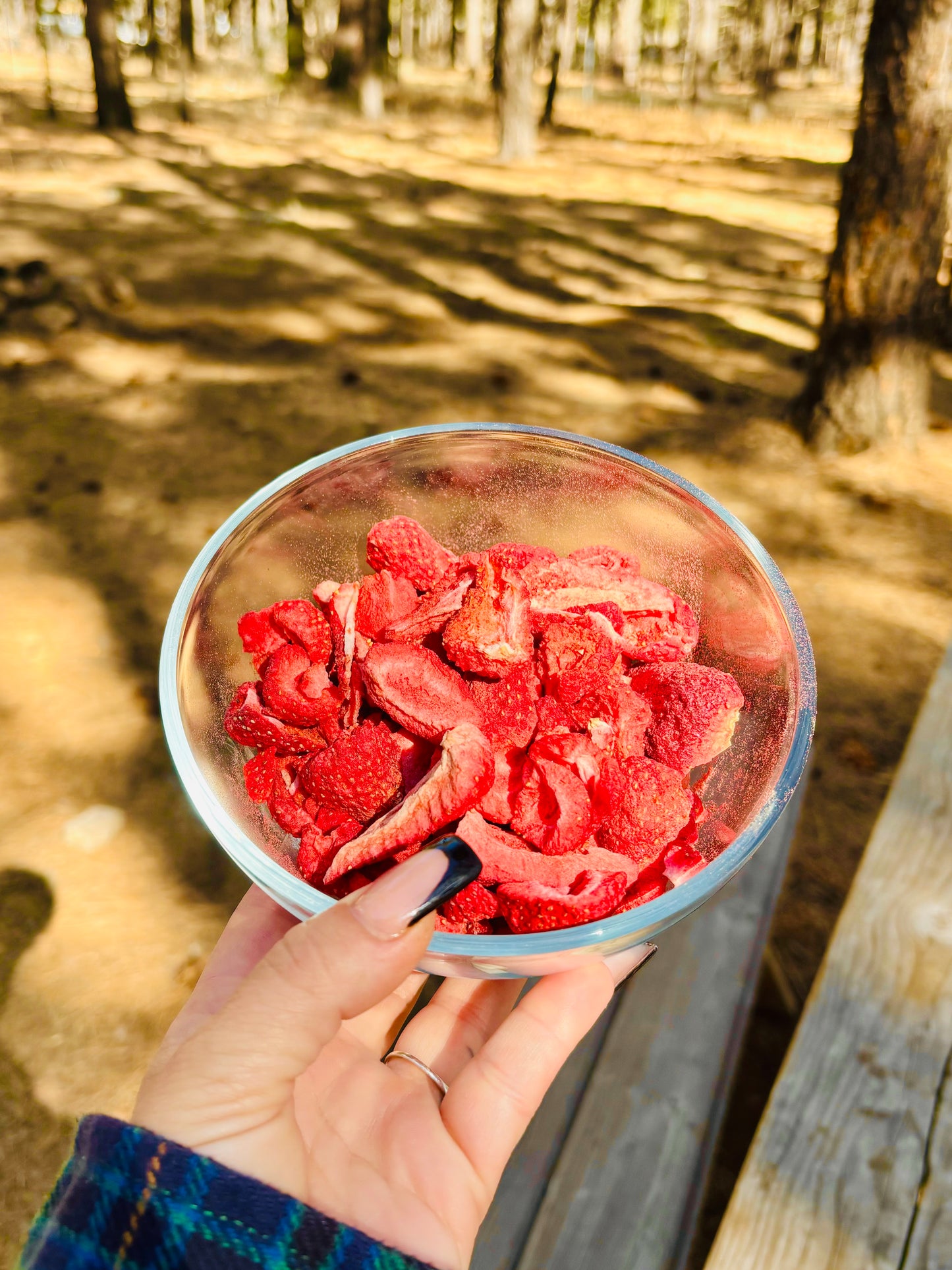 Freeze Dried Organic Stawberries