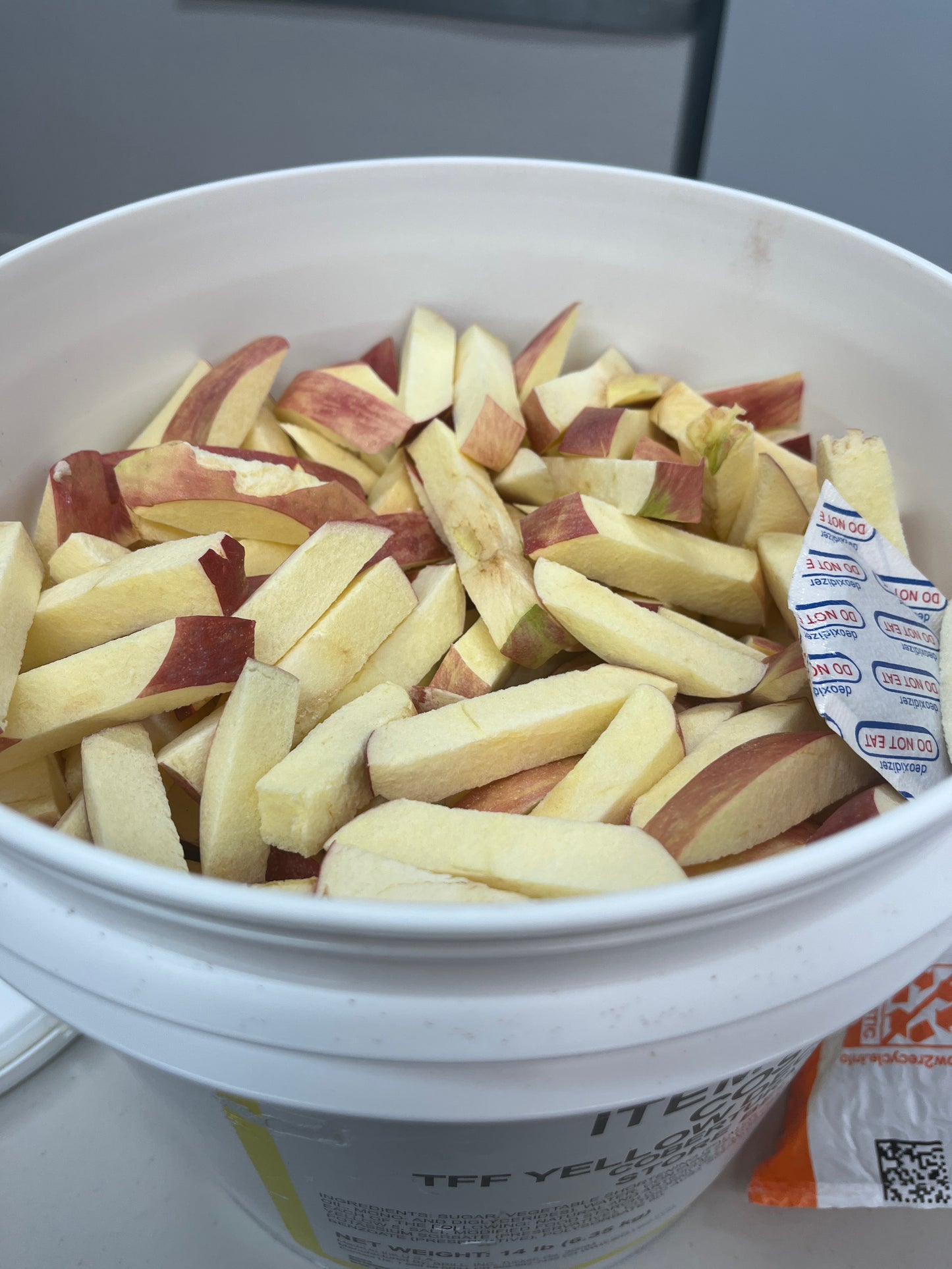 Freeze Dried Apple Fries