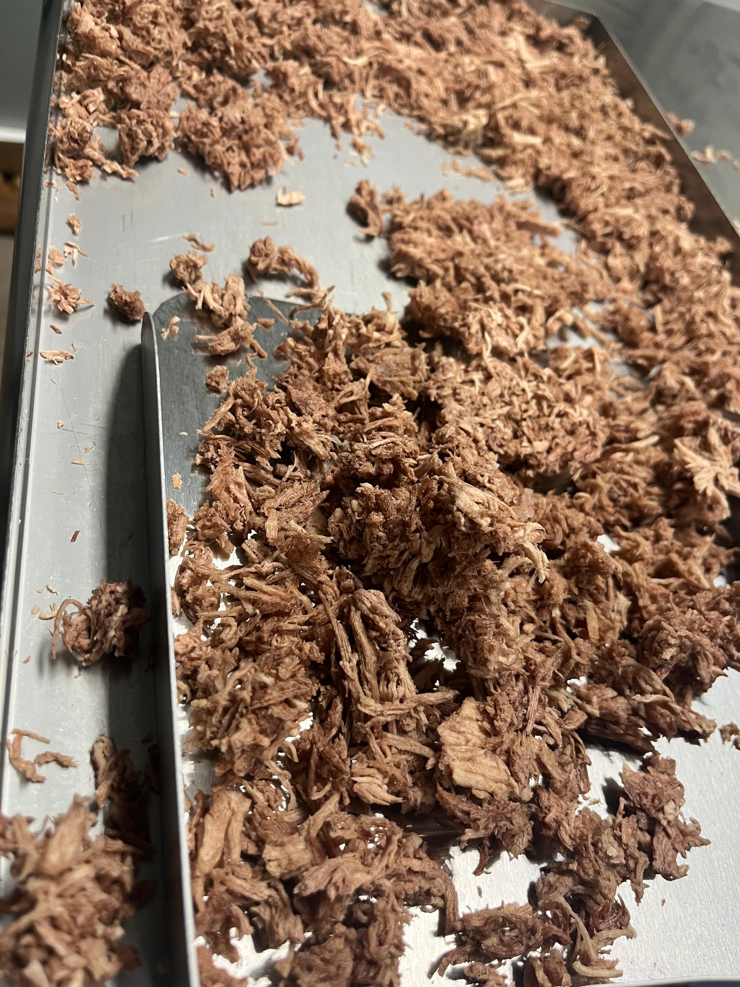 Freeze Dried Shredded Pork